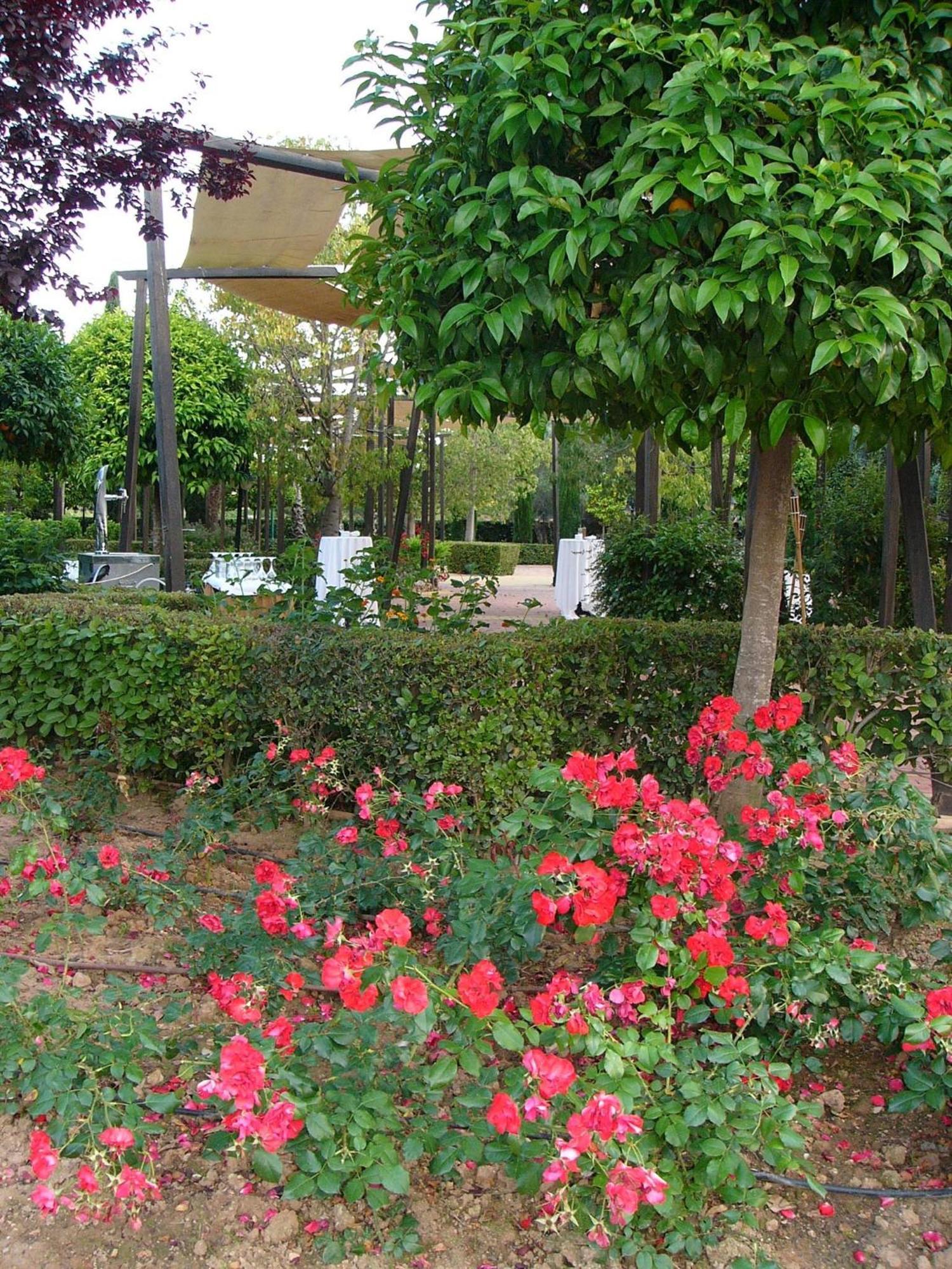 Ad Hoc Parque Hotel Bétera Exterior photo